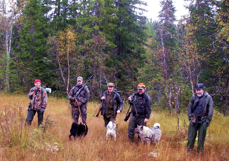 Imgp1914_1.jpg - Henrik, Torgeir med Teo, Jostein med Troja, Frode med Dixi og Trygve. Bildet er tatt vest for Ytre Damtjønna