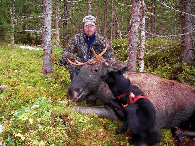 Imgp1922.jpg - Torgeir, Oksen og Teo