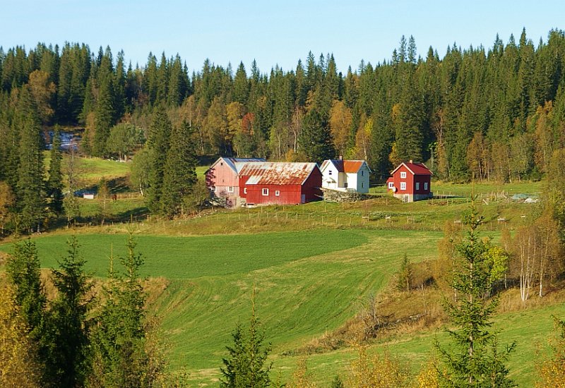 Imgp5620.jpg - Brainnom (Brandhaugen) sett fra berget sørom Vikelva
