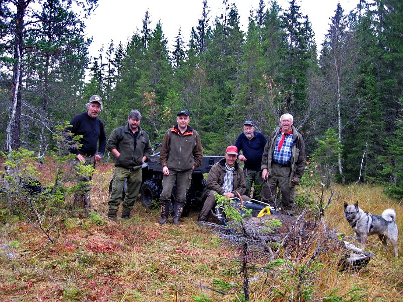 IMG_1165.JPG - Stein, Frode, Henrik, Jens, Tygve og Odd har lastet opp oksen i Alaskapulken bak sekshjulingen