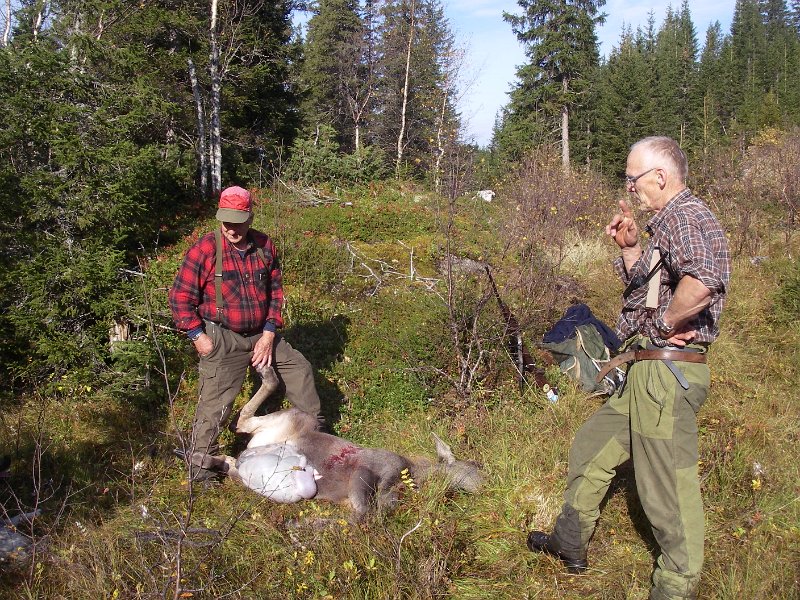 IMGP2081.JPG - Jens felte en kalv ved Purktjønnbekken. T.h er Agnar Reinås som var med som hundeførersammen med Tinka denne dagen