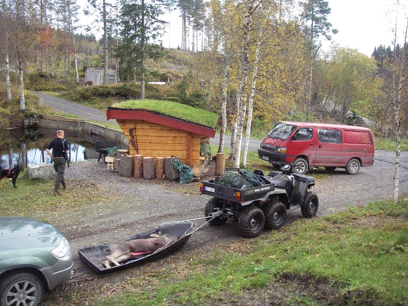 IMGP2084.JPG - Med sekshjuling og Alaskapulk er elgfrakt enkelt