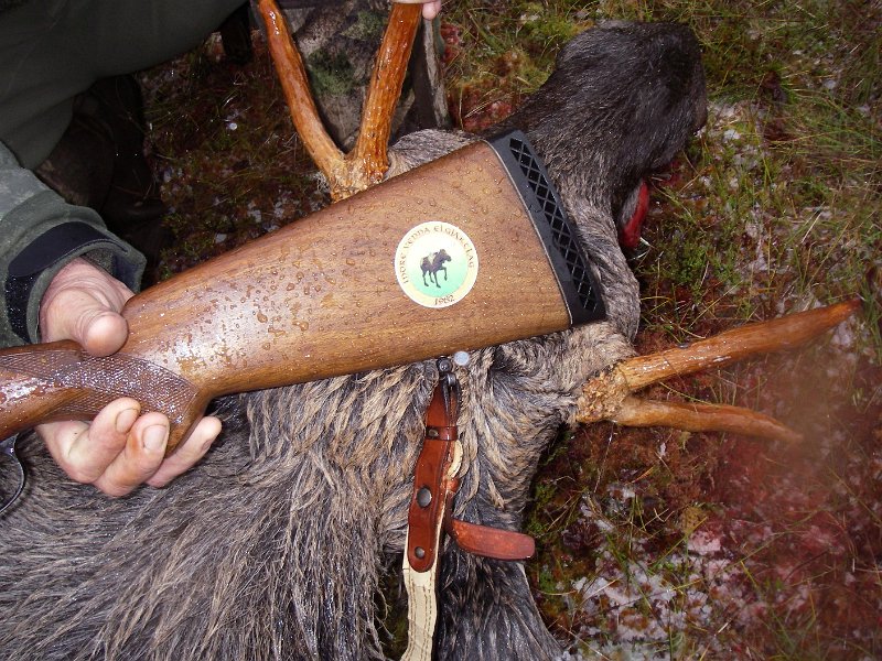 IMGP2132.JPG - Rifle i 375 H&H med godkjent merking