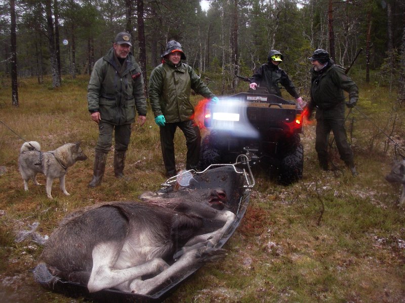 IMGP2136.JPG - Troja, Stein, Henrik, Eline, Trygve og Tinka