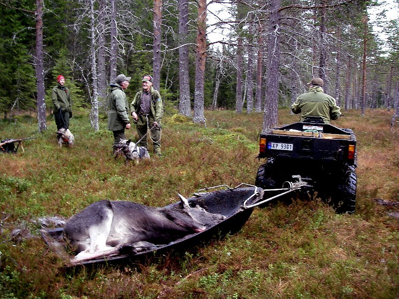 IMGP2148.JPG - Siste reis står for tur. Marius med Troja, Stein og Agnar med Tinka. Frode på sekshjulingen