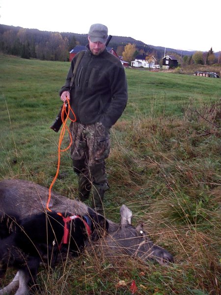 Imgp2104.jpg - Torgeir og Teo ved litl-oksen