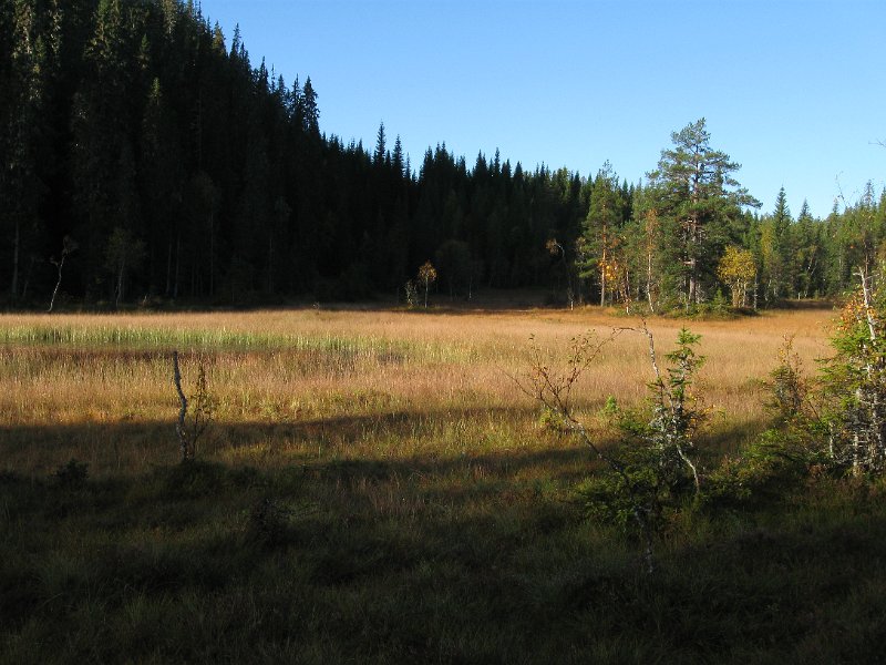 IMG_2871.JPG - Morgensteming ved Purktjønna