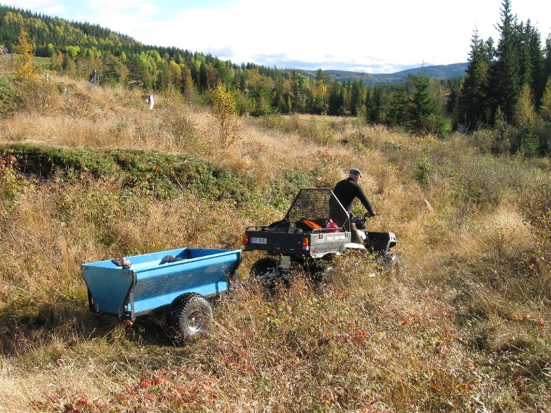 IMG_2892.JPG - Moderne elgfrakt i Snustad anno 2012