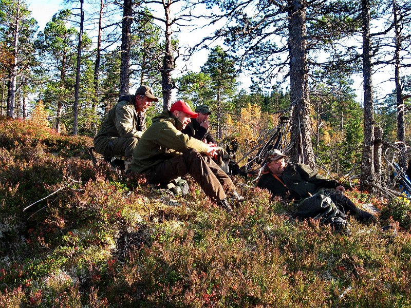 IMG_2935.JPG - Stein, Marius, Torgeir og Frode på berget på Kryssmyra