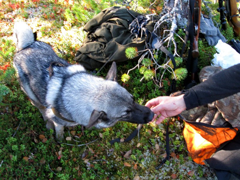 IMG_2956.JPG - Tyra sniker til seg noen godbiter