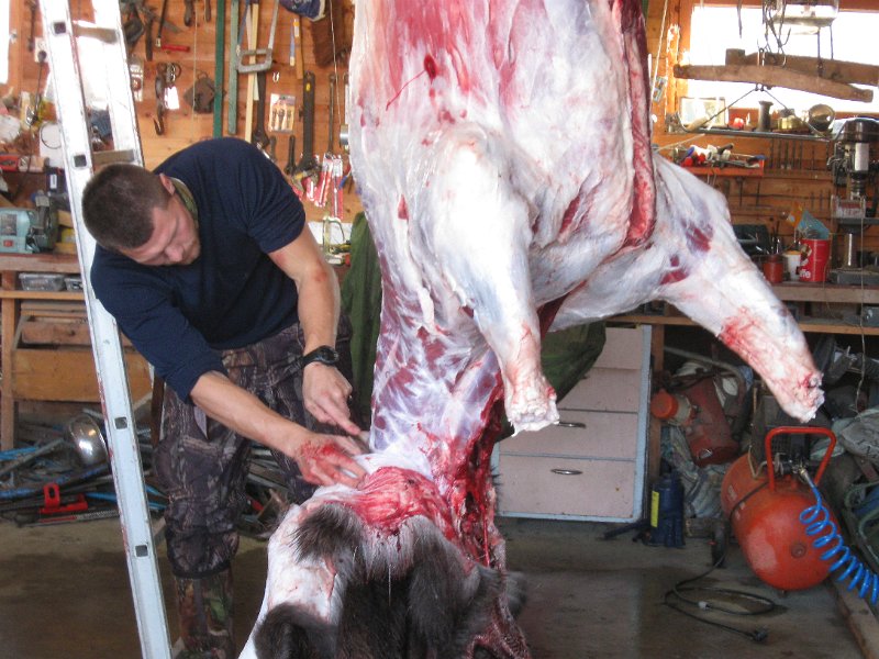 IMG_2961.JPG - Bjørn går her som lærling i slaktarfaget