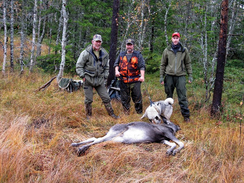IMG_2980.JPG - Mandag felte Stein en kalv ved Storfuru vest for Svea.