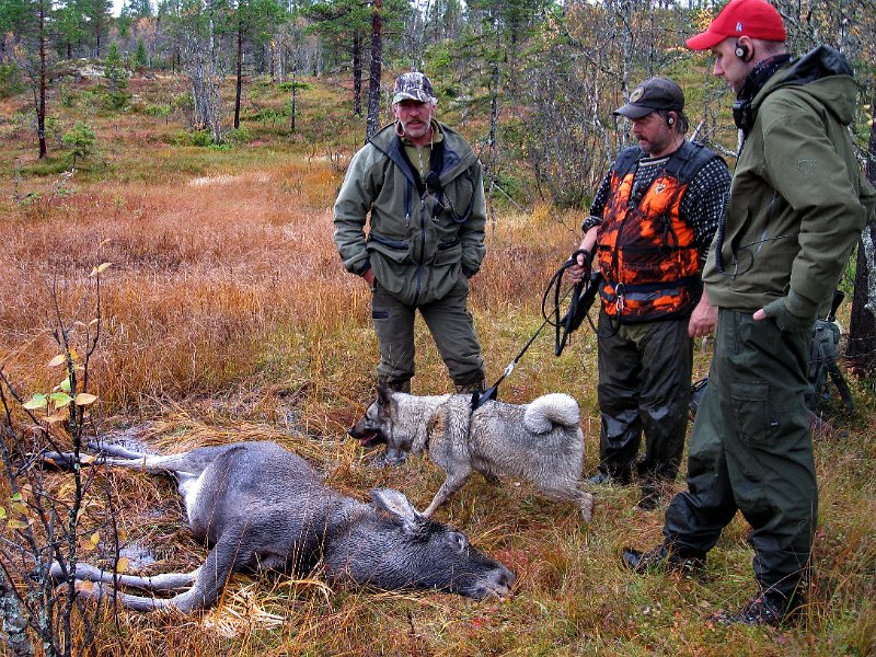 IMG_2983.JPG - Stein Frode og Marius  ved kalvfallet ved Storfuru