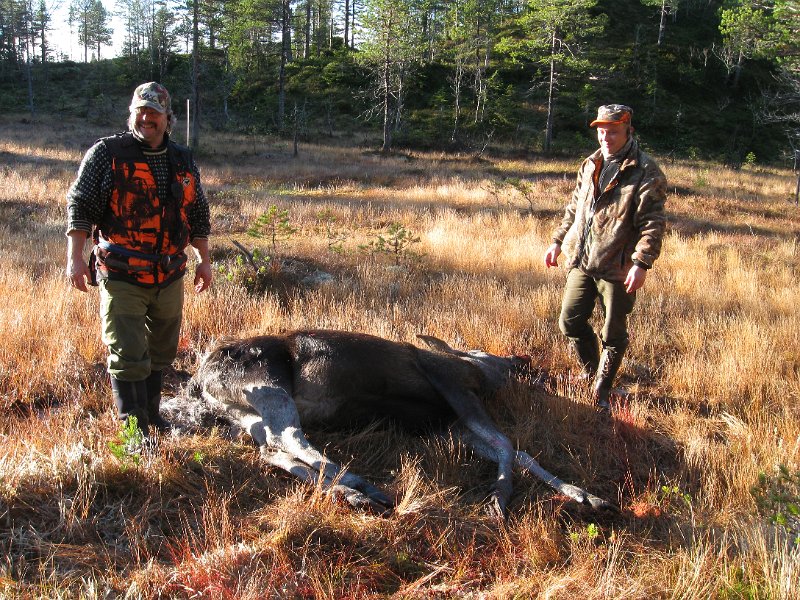 IMG_3009.JPG - Lørdag 20. oktober jakta vi fra Kattåsen mot Flåkkåmyrin igjen. Henrik felte ei kvige på Litlflåkkåmyra.