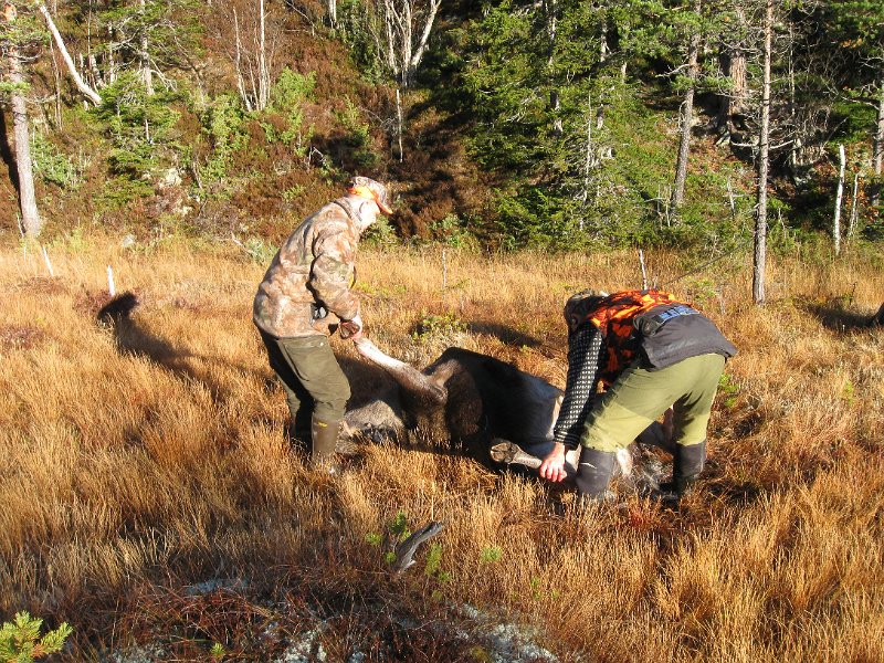 IMG_3011.JPG - Henrik og Frode forbereder utvomming