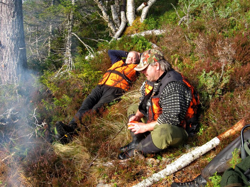 IMG_3022.JPG - Hundekarene Trygve og Frode