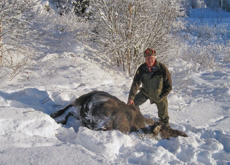 IMG_3044.JPG - Skytter Odd og elgkua