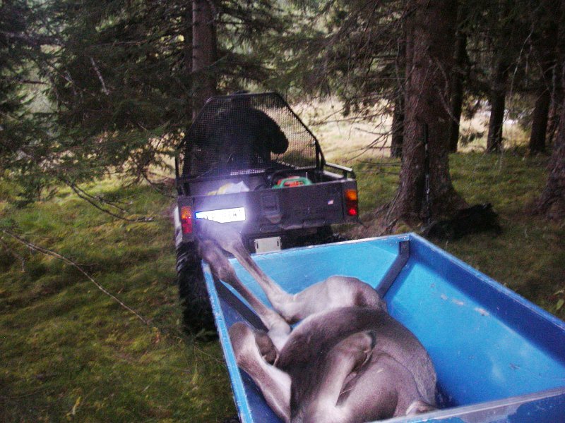 IMGP2182.JPG - Siste reis gikk i ei blåfarga vogn bak ein hyva sekshjuling med Trygve ved styret.