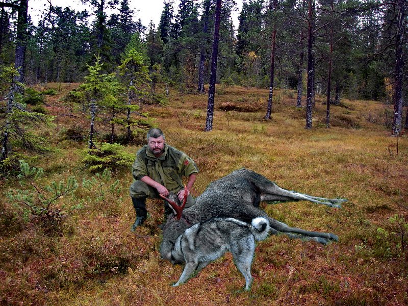 IMGP2196.JPG - Frode med felt femspiring