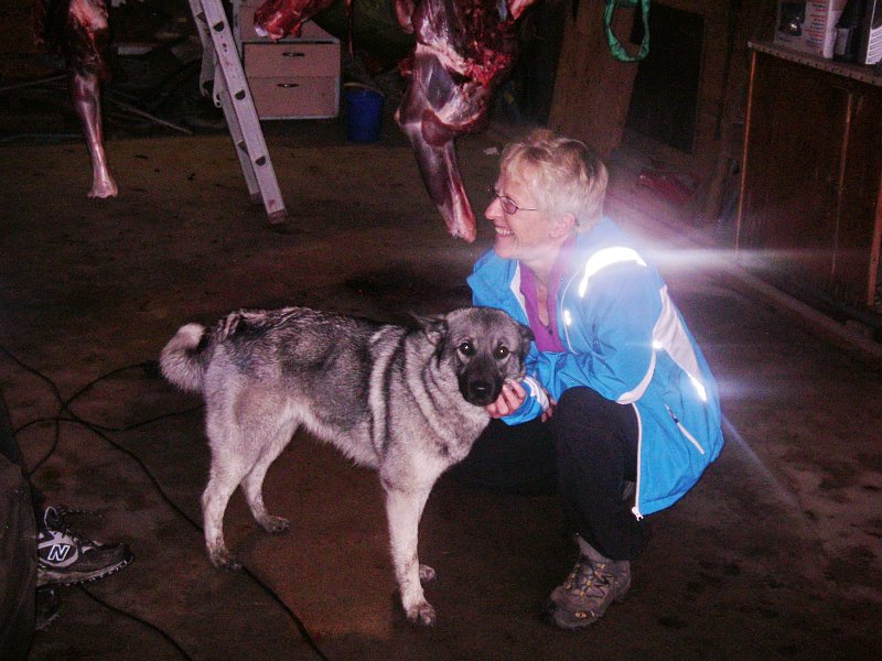 IMGP2202.JPG - Tyra får klapp og klø av Solfrid Sneisen