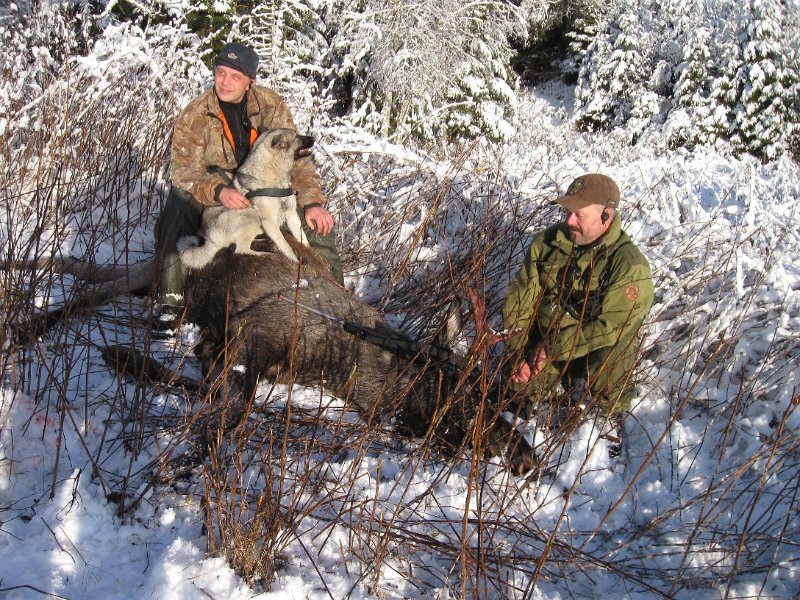 IMG_3566.JPG - Firspiringen ble felt ved et perfekt samspill mellom Henrik og Frode, - assistert av Tyra