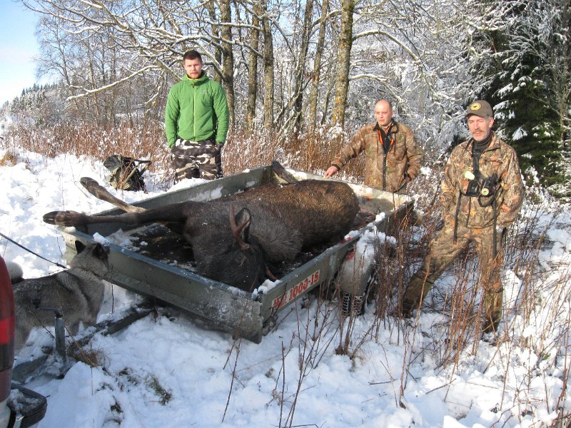 IMG_3570.JPG - jørn, Henrik og Stein. Foran hengeren står Tyra.