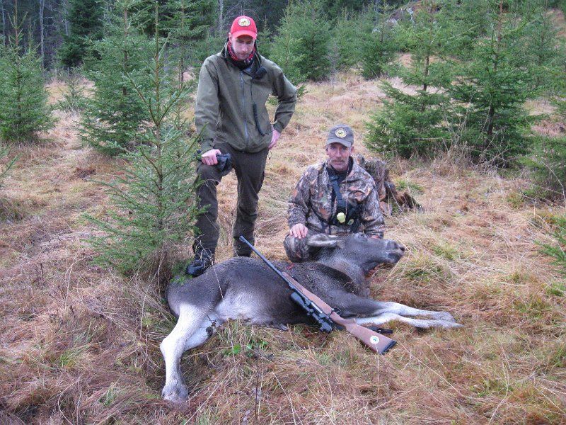 IMG_3578.JPG - Marius og Stein ved elgfall