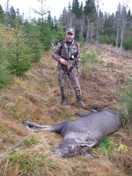 Img_3572.jpg - Stein felte kalven med ett skudd, - 375H&H