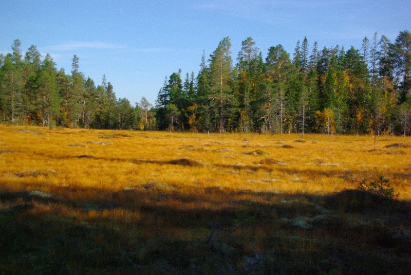 Imgp8865.jpg - Stor-Flåkkåmyra mot øst