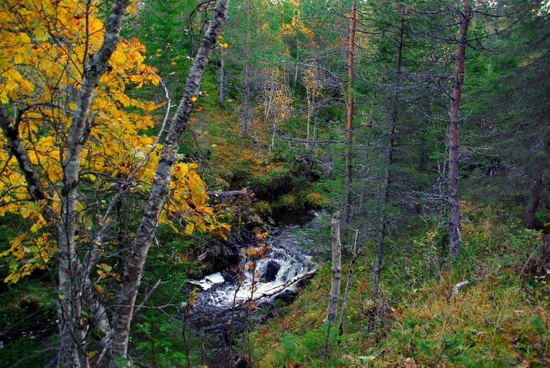 Imgp8882.jpg - Høstfarger ved Lauva