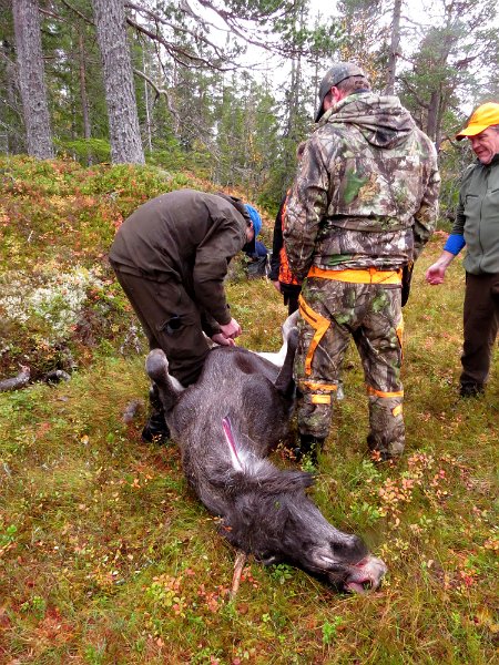 Img_1584.jpg - Marius, Torgeir og skytter Jostein i utvommingsarbeid