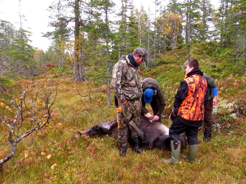 Img_1585.jpg - Utvomming