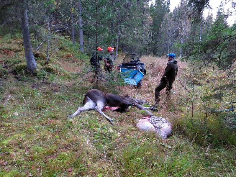Img_1603.jpg -  ATV'n på plass, klart for siste reis                           