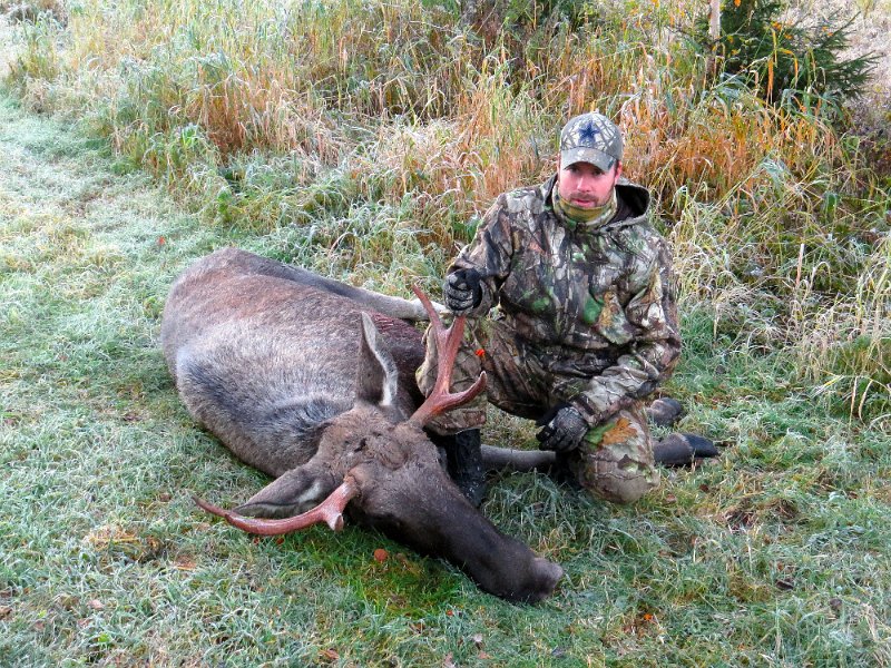 Img_1610.jpg - Stolt jeger med praktfull 6-spiring