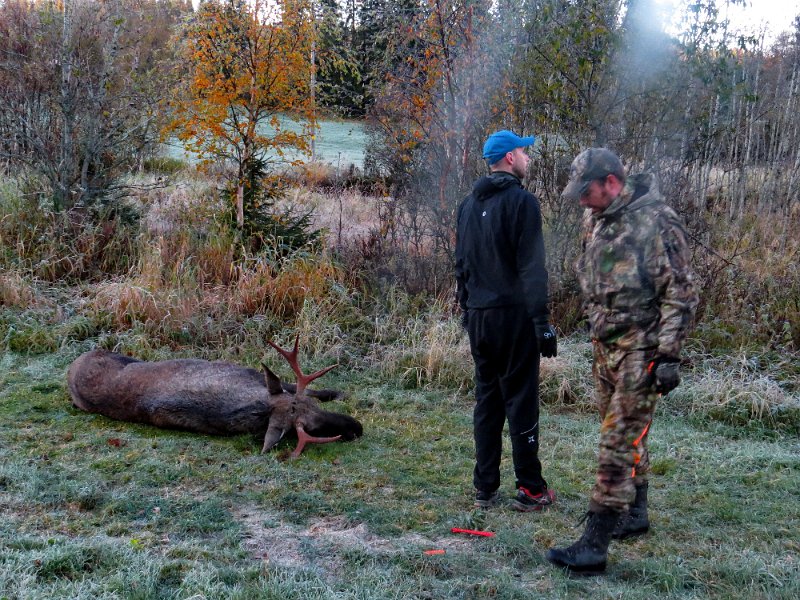 Img_1617.jpg - Marius og Stein ved oksefallet