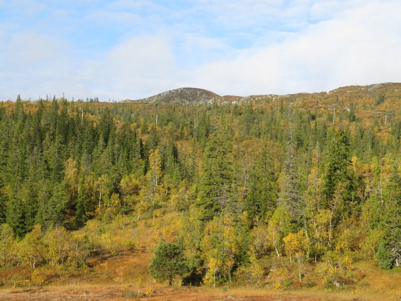 Img_1442.jpg - Vi jakta på sørsida av Strandbyggfjellet og Våttåkammen