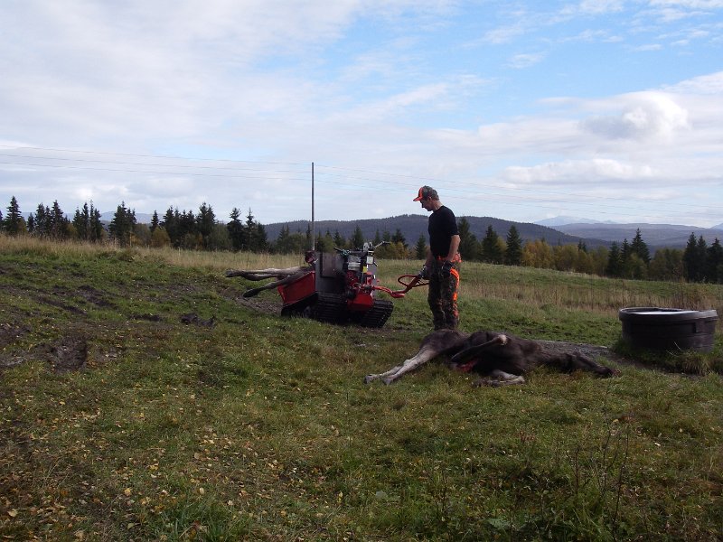 Imgp2511.jpg - Øyvind Stene, ein jarnhest og to kvga