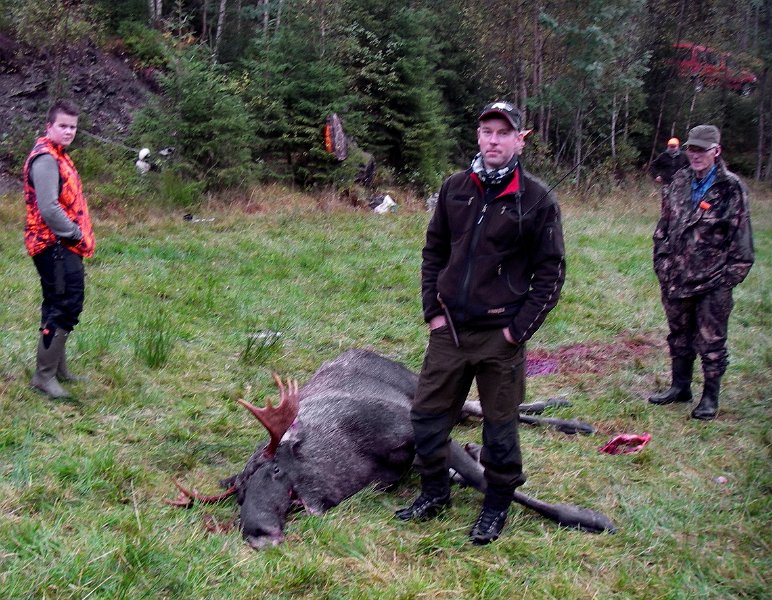 Imgp2518.jpg - Bare minutter etter at Odd felte den lille oksen, felte Lars Inge en 11-spiring på naboposten