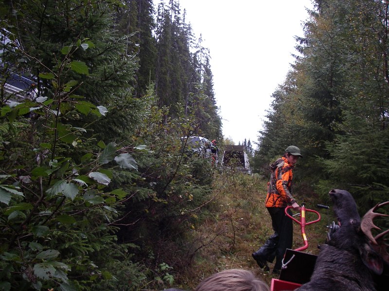 Imgp2522.jpg - Frakt med jarnhest opp til veien